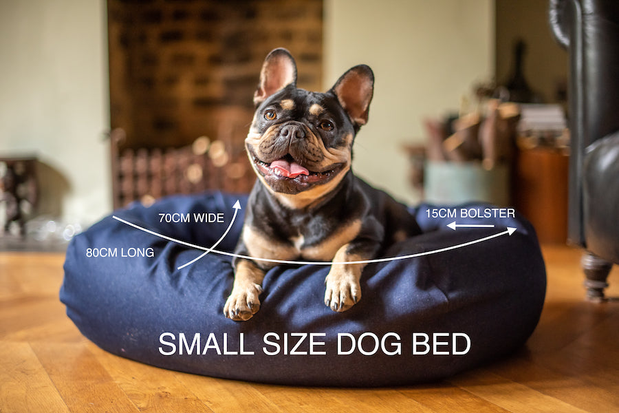 WHAT SIZE BED FOR MY –