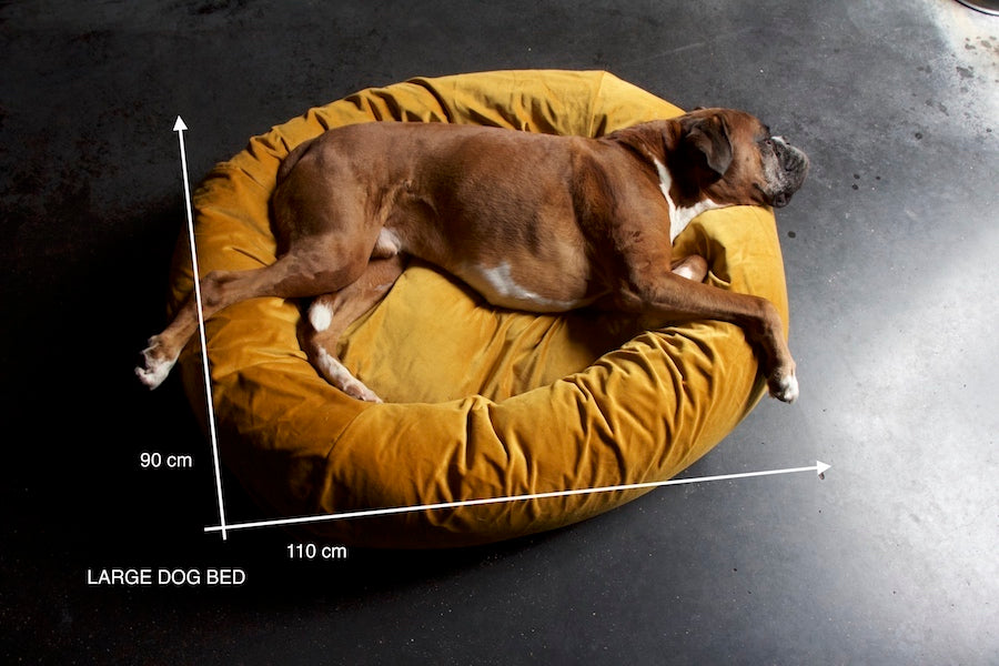 large dog bed for boxer