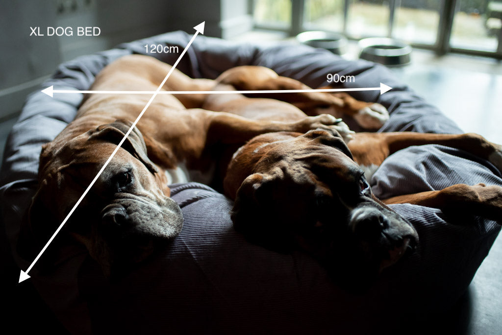 XL dog bed 120cm by 90cm