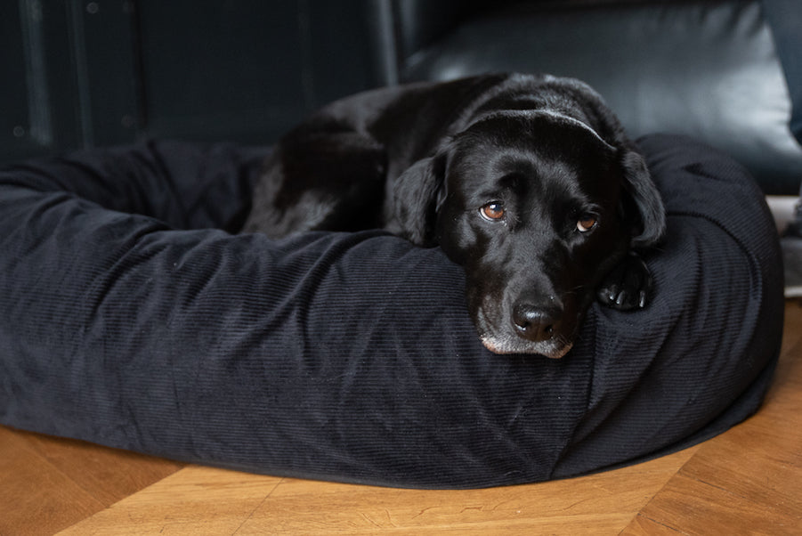 black corduroy dog bed