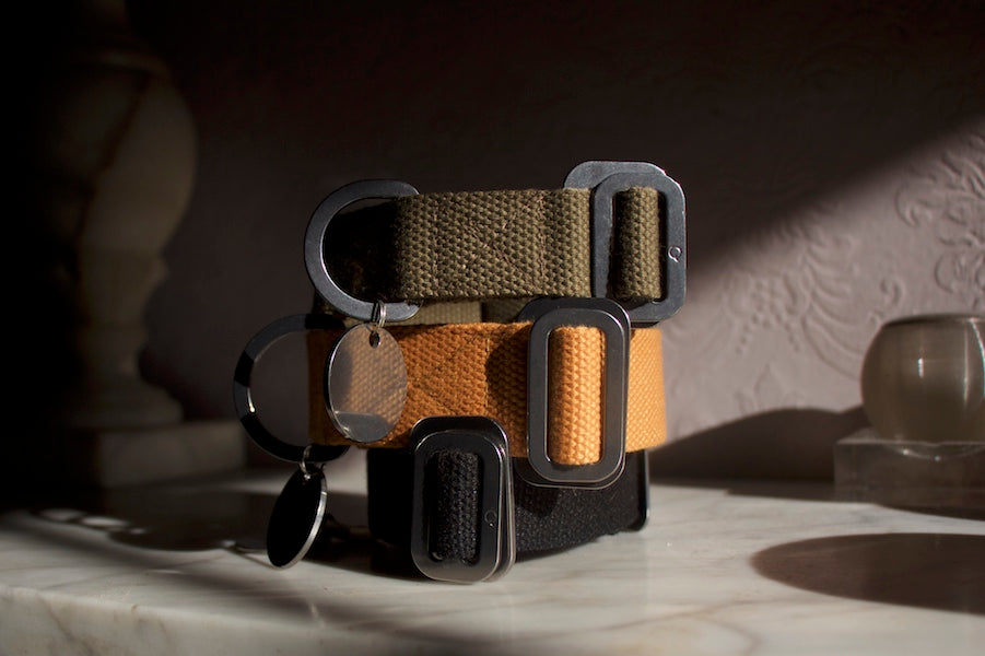 comfy dog collars