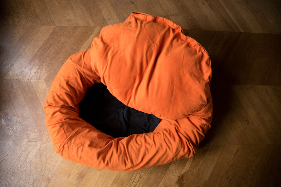 comfy orange bolster dog bed with covers