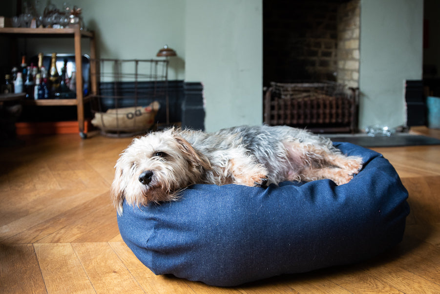 denim dog bed for small dogs