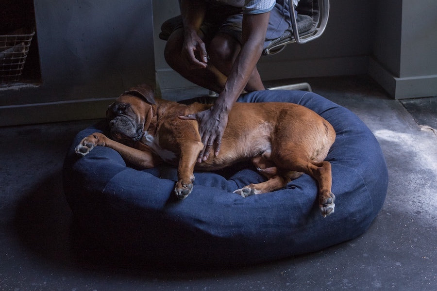 sustainable dog bed with firm bolster
