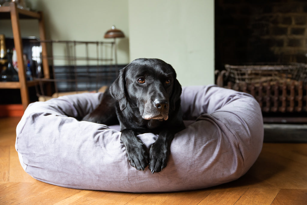 dog bed with washable covers