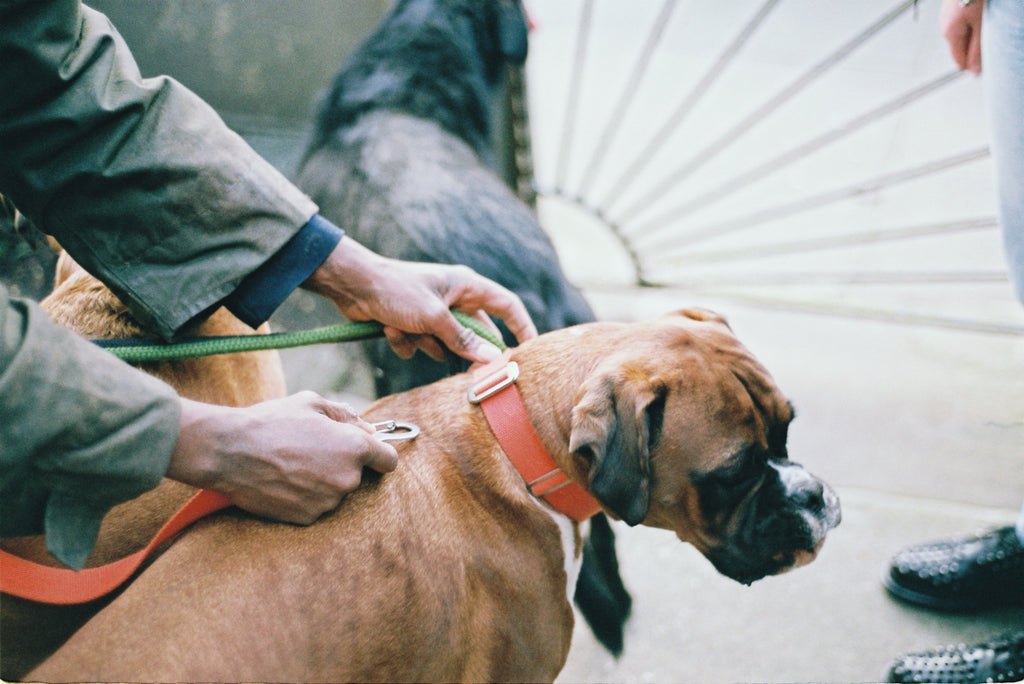 doing a collar up