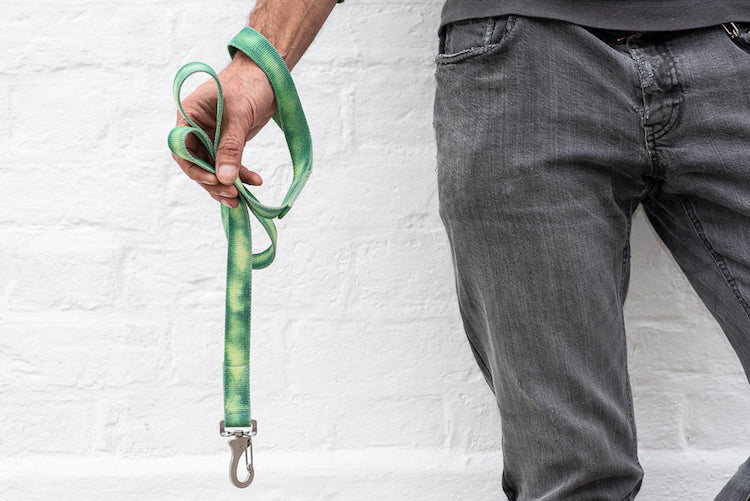 green tie dye dog lead