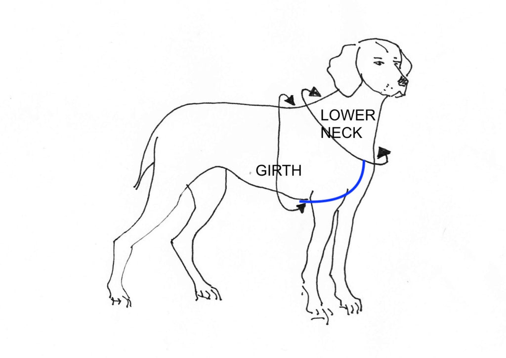 harness measuring instructions