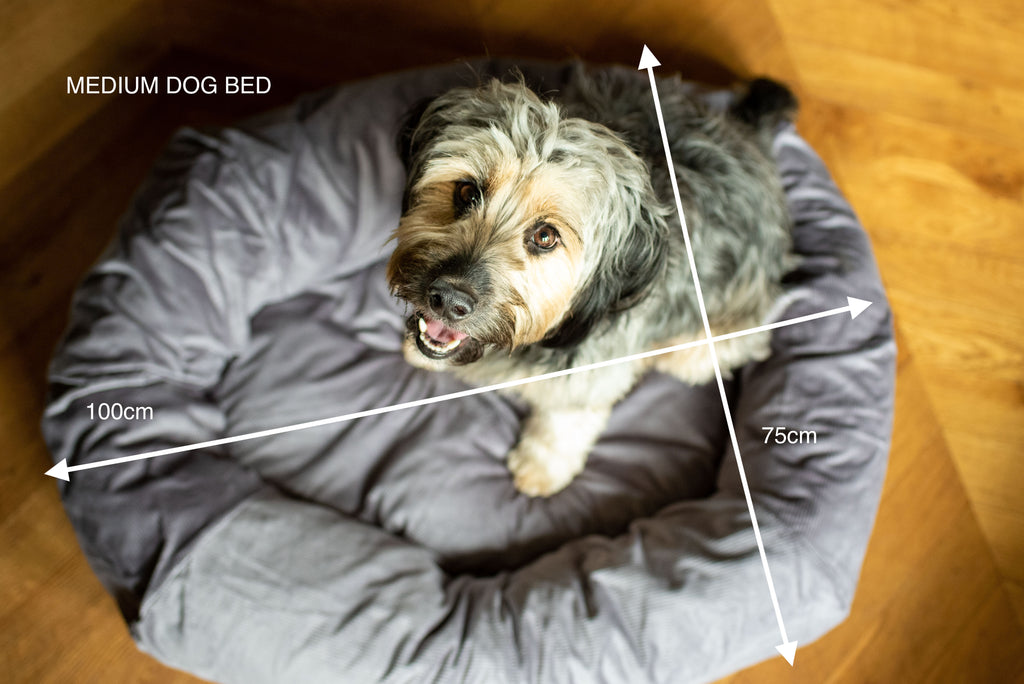 medium dog bed 100cm by 75cm