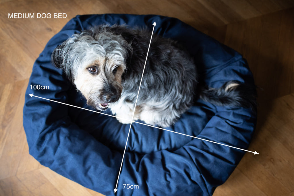 medium size denim dog bed