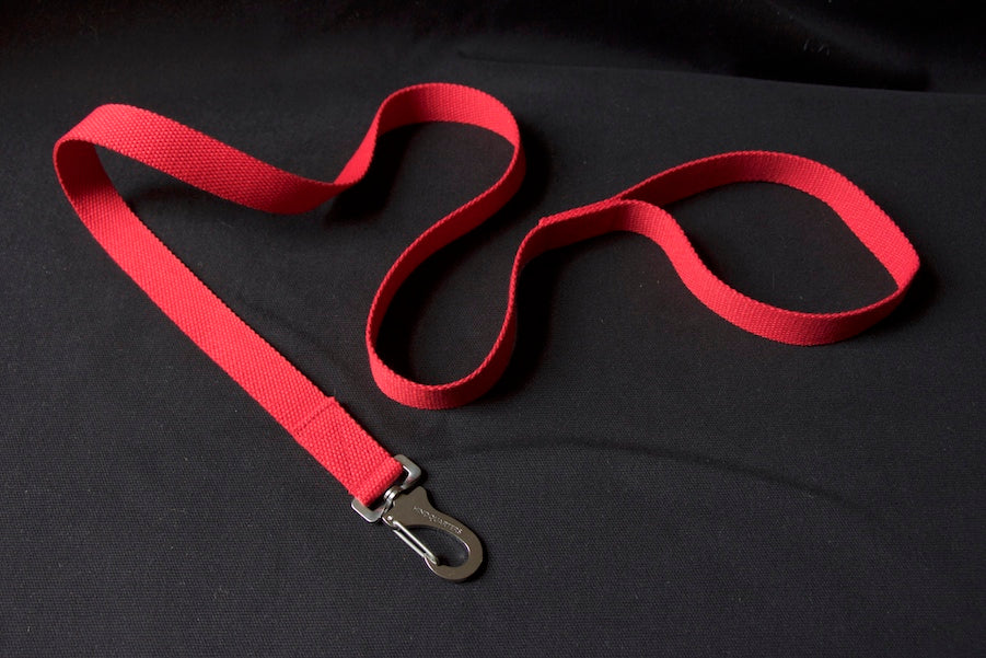 red dog lead with comfy handle