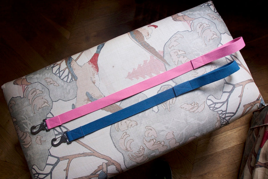 short pink and blue dog leads