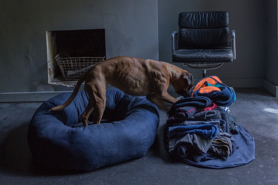 stuffing for a dog bed