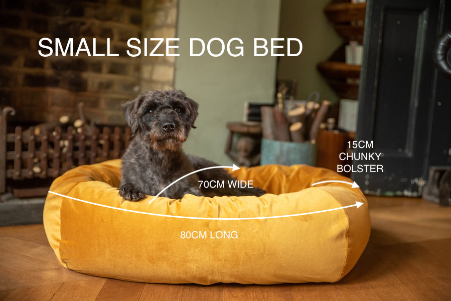 velvet comfy bed for dog small size