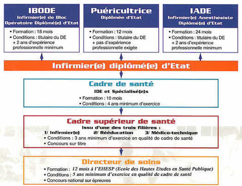 Organigramme cadre de santé - Le Blog Des Infirmières