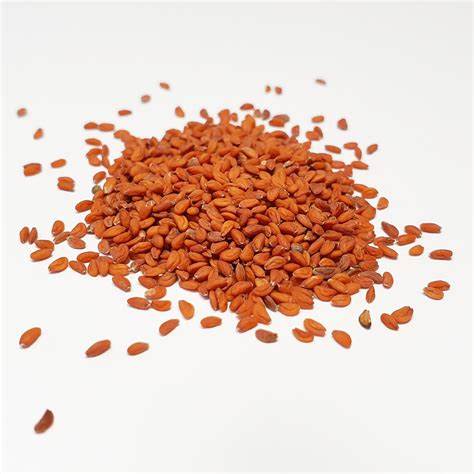 Cress - seed Australian Plants Online