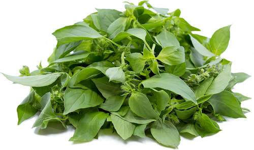 Lemon Basil Seed Non GMO Country Creek LLC