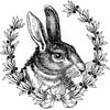 Puriri Lane  Madame Treacle Rabbit