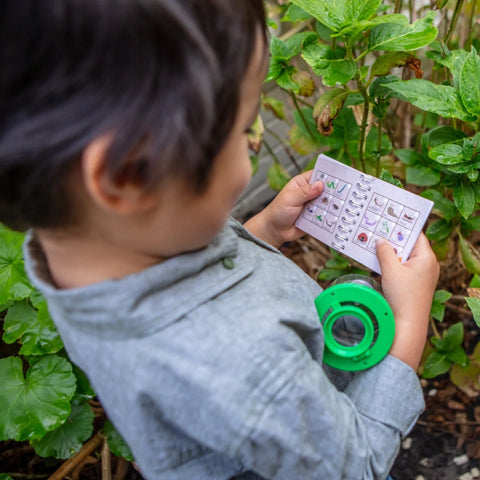 Puriri Lane | Bug Spotter Kit