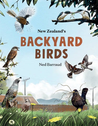 Puriri Lane | BAckyard Birds | Ned Barraud