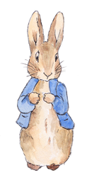 Puriri Lane | Peter Rabbit | Beatrix Potter