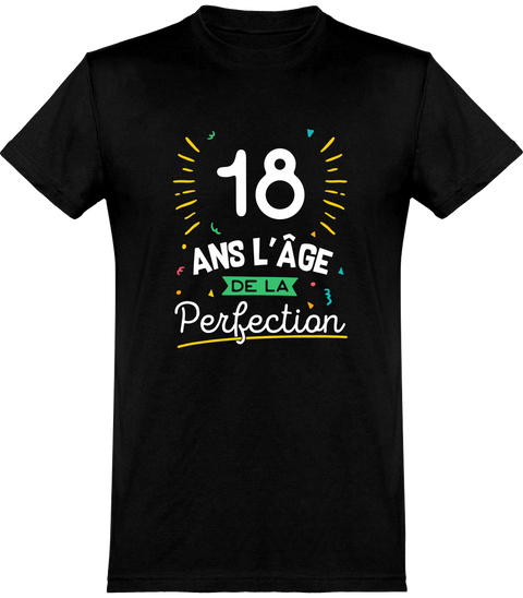 Cadeau Homme T Shirt Homme 18 Ans La Perfection Otshirt Fr