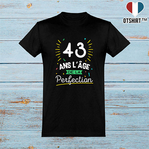 Cadeau Homme T Shirt Homme 43 Ans La Perfection Otshirt Fr