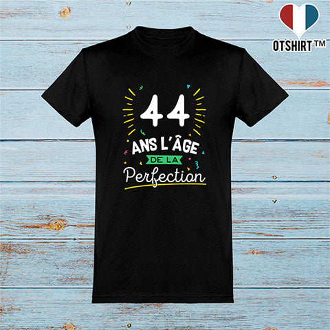 Cadeau Homme T Shirt Homme 44 Ans La Perfection Otshirt Fr