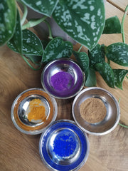 colorant-bleu-violet-jaune-beige-quatre-coupelle-plante-verte