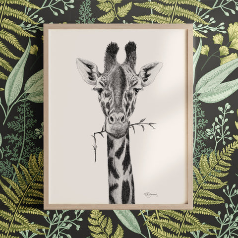 Giraffe black and white illustration