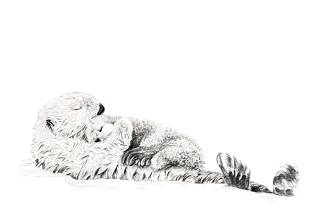 Otter with baby black and white illustration