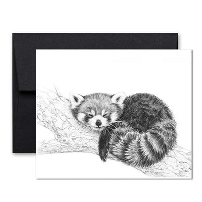 Red Panda illustration - collaboration with La Fondation du Zoo de Granby -  LE NID atelier