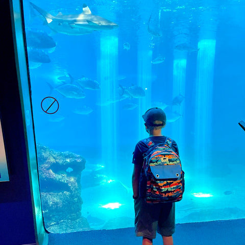 Kid standing in front of aquarium tank looking at sharks wearing Wanderwild The Explorer "Shark Tide" kids backpack