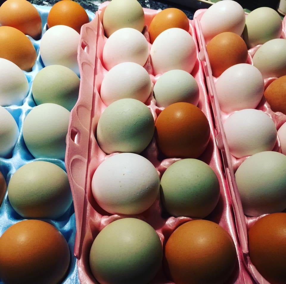 Fresh Eggs from BlueLoon Farm