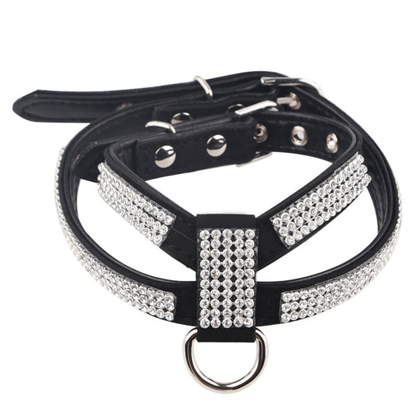 leather dog harness and leash