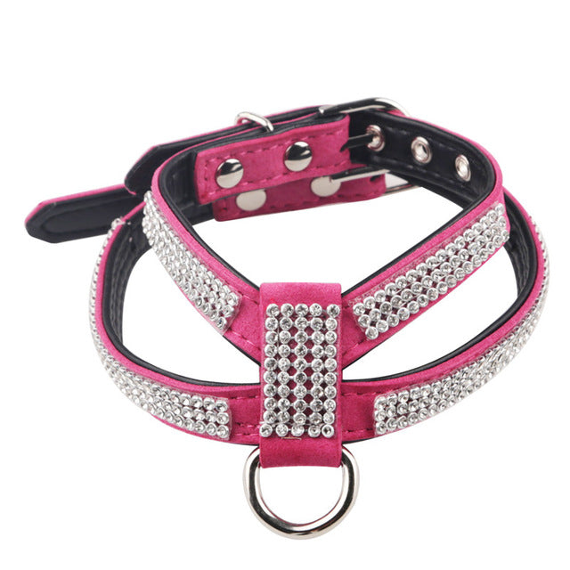 leather dog harness and leash