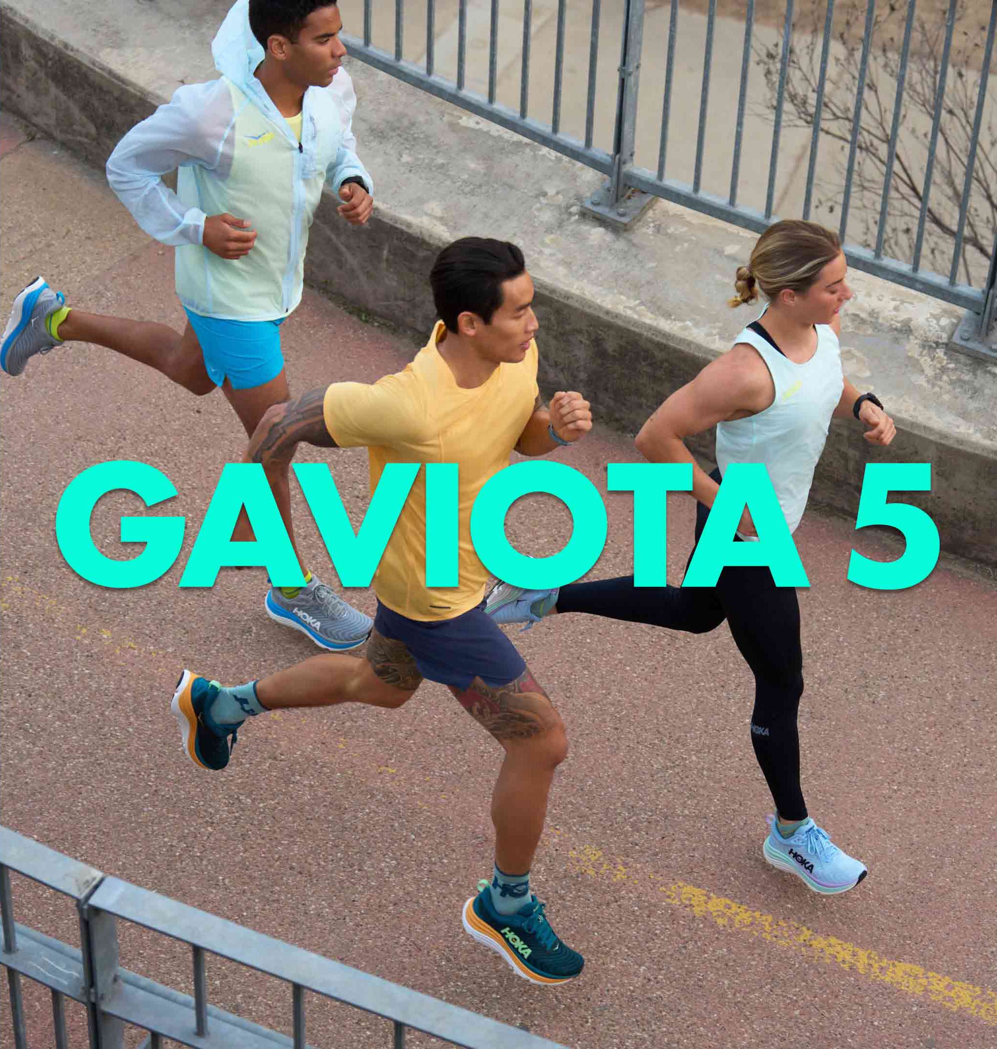 Gaviota 5