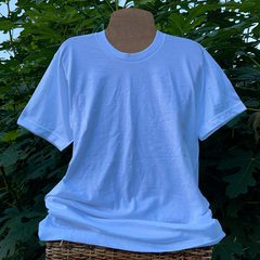 Blank white Gildan Heavy Cotton T-Shirt displayed on a wooden mannequin, displayed outdoors in front of a tropical fig tree