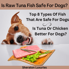 can dogs get mercury poisoning from fish