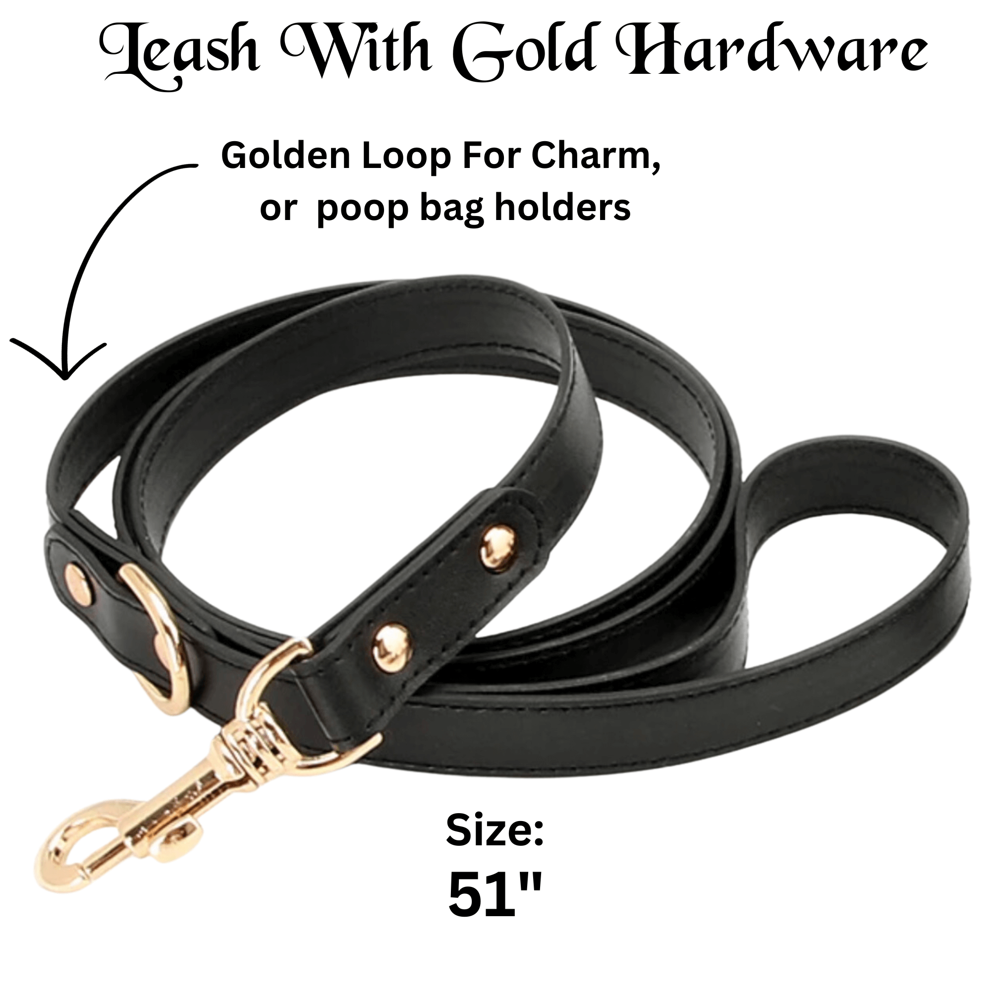 Dog Leash