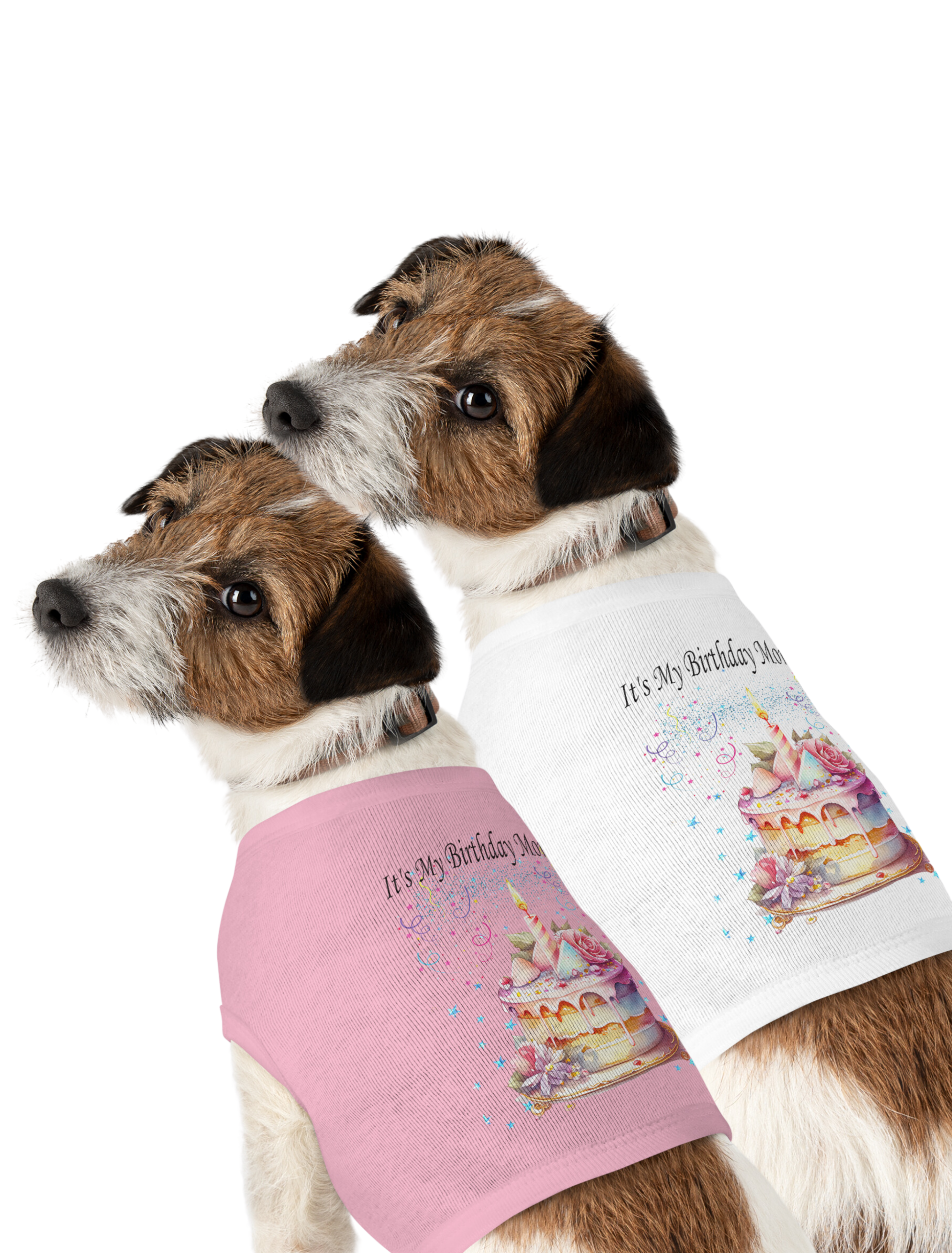 dog shirt, cute dog birthday shirt