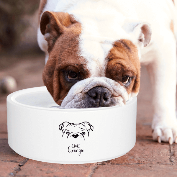 Are Ceramic Dog Bowls Safe For Dogs