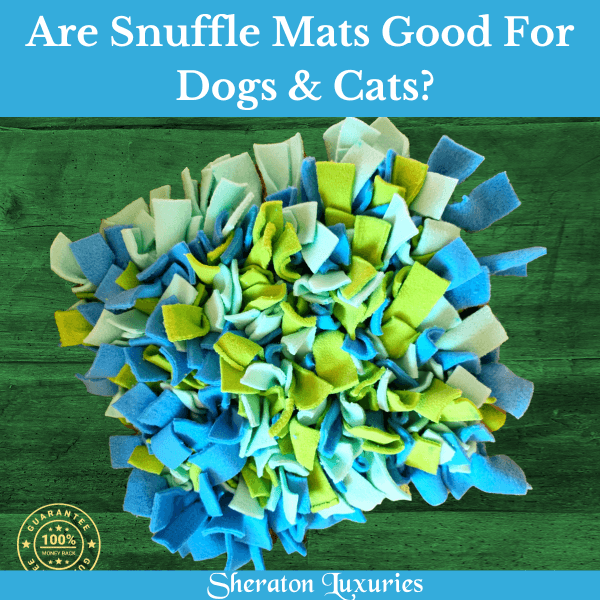 Are snuffle mats good for dogs and cats