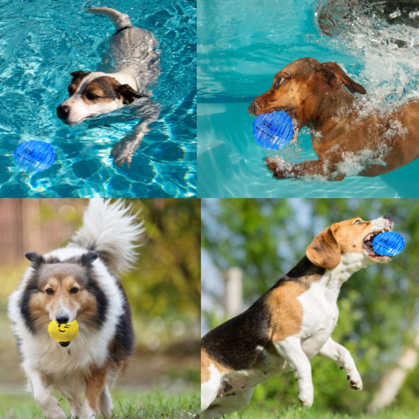 Clean Run Enrichment Games for High-Energy Dogs