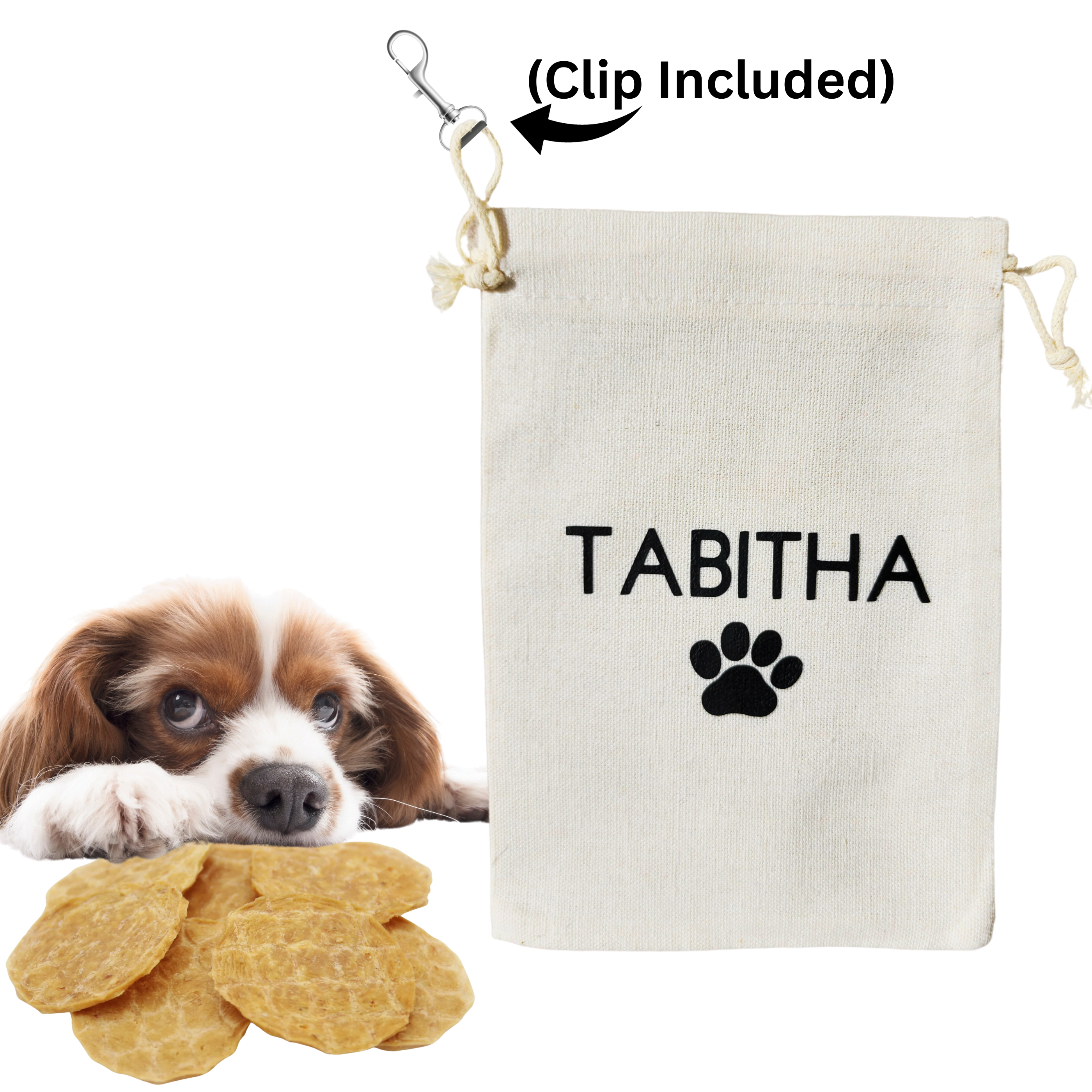 Dog Training Treat Pouch