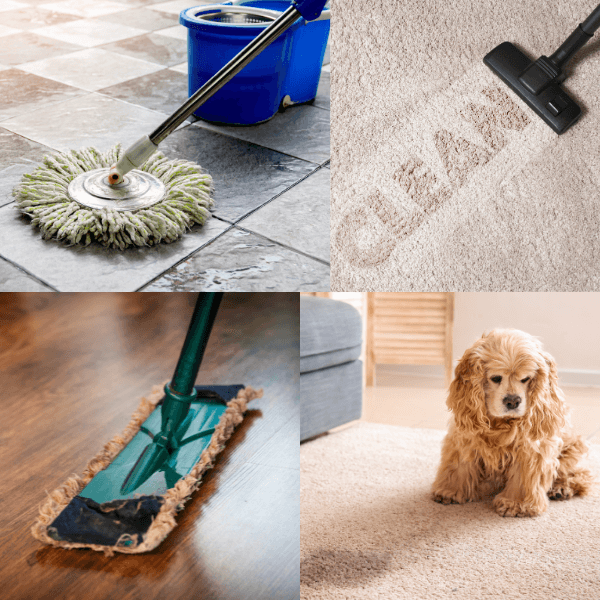 How To Clean Dog Pee From Carpet, Tile & Hard Floors