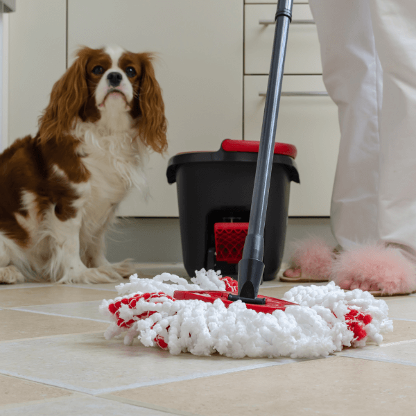 How To Remove Dog Urine Smell From Tile Floors?