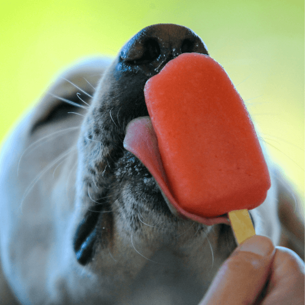 Safe Strawberry Recipe For Dogs: Strawberry Frozen Treats