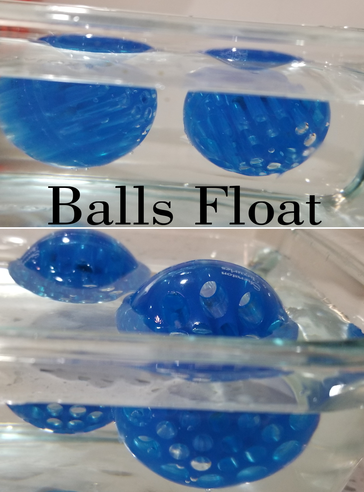 Dog Balls That Float In Water