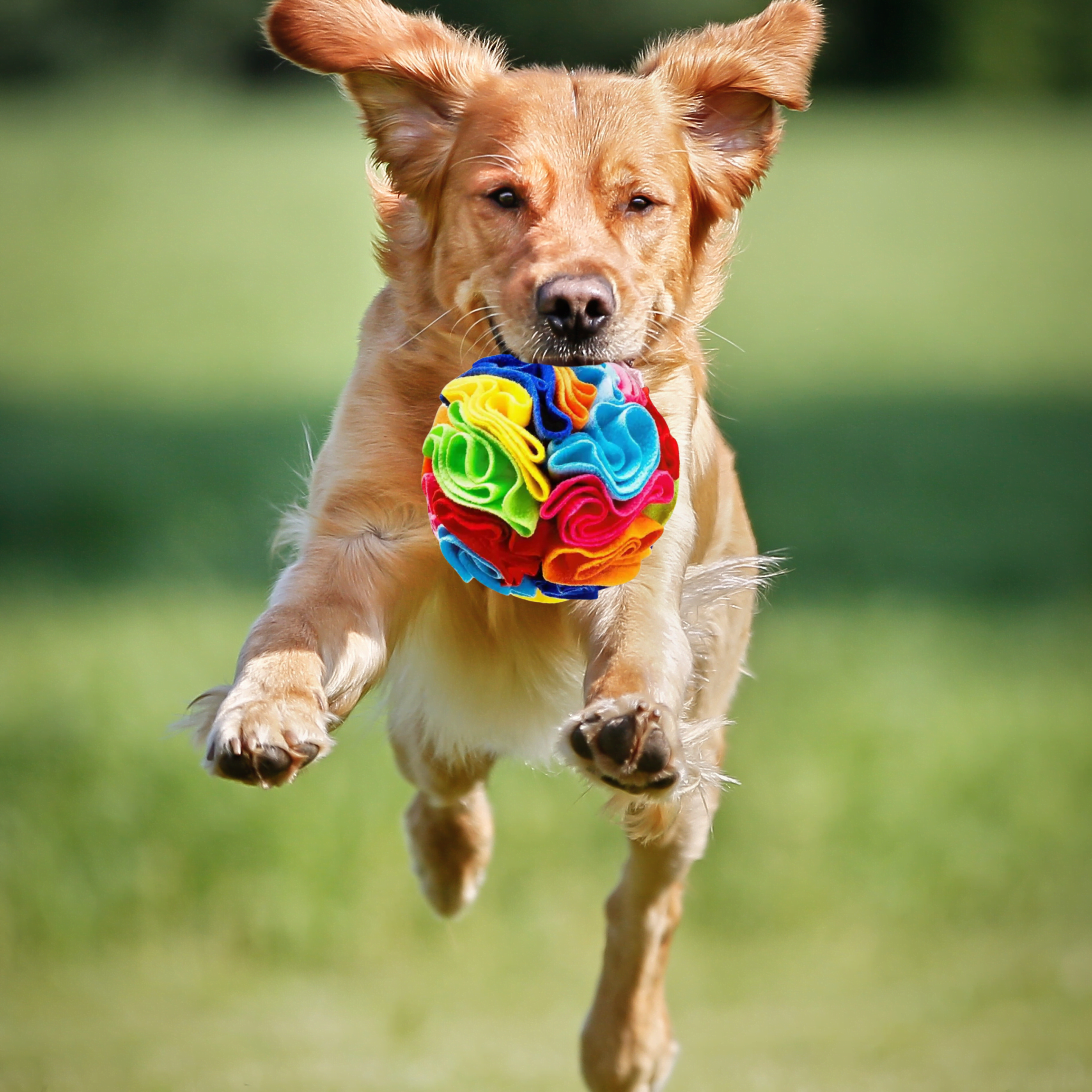 Snuffle Ball: Engaging Interactive Toy for Endless Pet Fun!